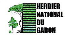 Herbier national du Gabon
